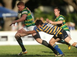 Shute Shield Round 8