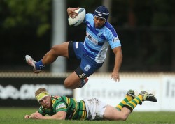 Shute Shield Round 5