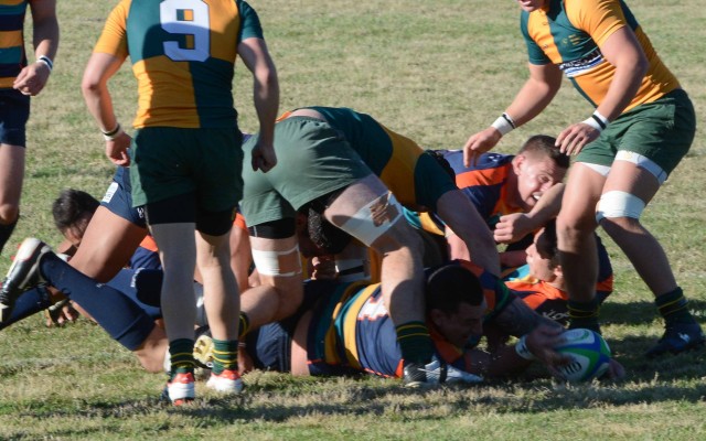 Premier Rugby Round 7