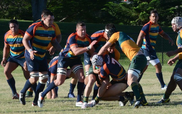 Premier Rugby Round 7