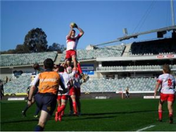 Vikings lineout