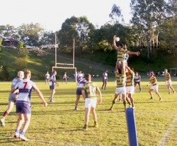 Lineout won against the throw