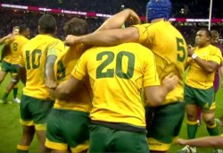 wallabies celebrate england