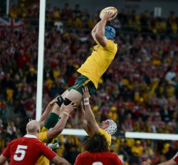 Horwill Wallabies Lineout