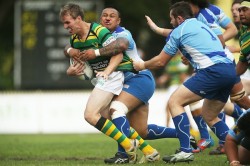 Shute Shield Round 5