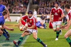 Halfpenny passes in Lions vs Force 2013