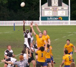 Yak contesting the lineout