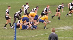 Ashgrove on the attack.