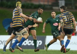 Shute Shield Round 9 - Uni v Randwick