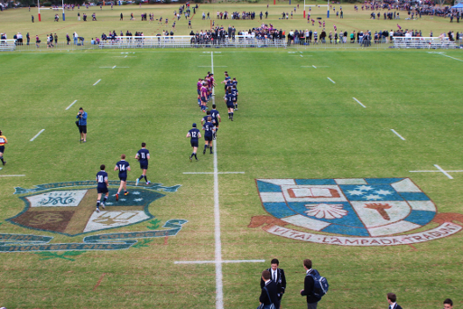 Joeys and Shore crests