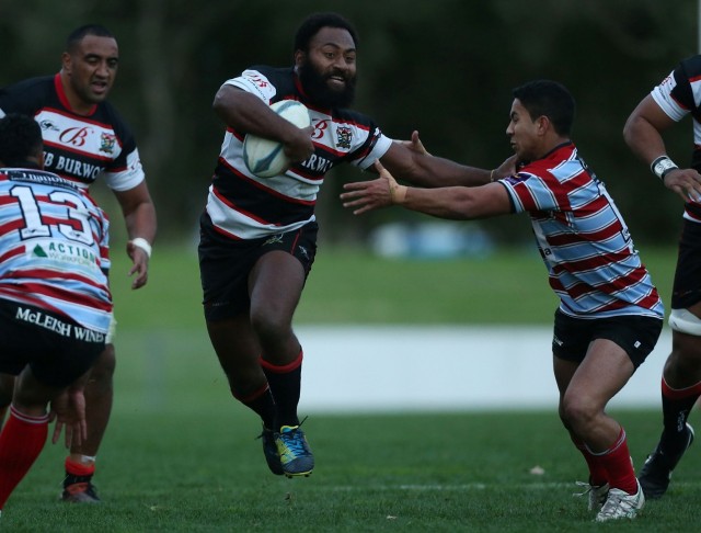 Shute Shield Round 10