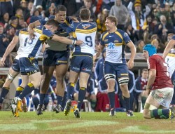 brumbies celebrate