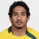 tomane wallabies profile