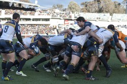 Brumbies out of jail over the Cheetahs