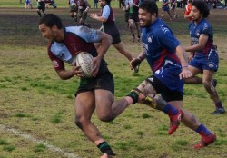 Harlequins v Footscray