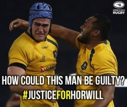 justiceforhorwill