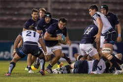 pumas waratahs 2013 