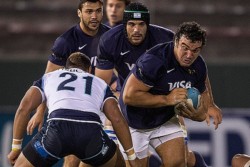 pumas waratahs 2013 