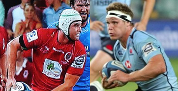 Who is the Wallaby Openside