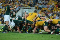 Who is the Australian scrum coach?