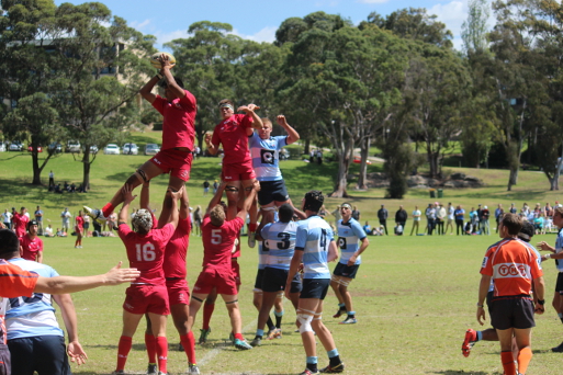 Qld Red lineout ball