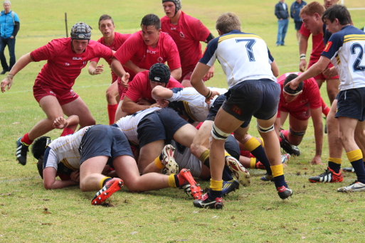 Qld Red v. Brumbies