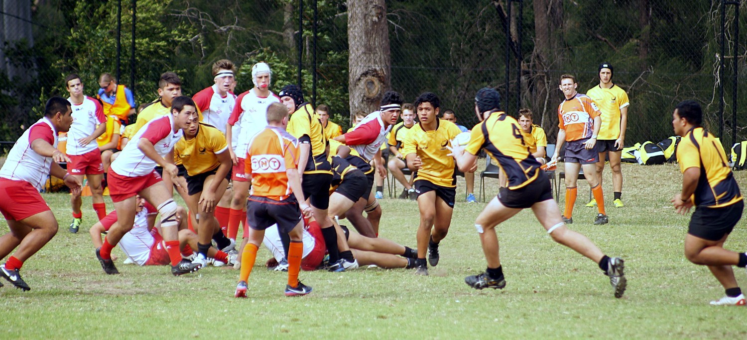 Queensland White v WA