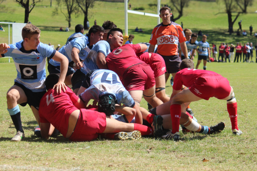 Red v Schools - hard yakka