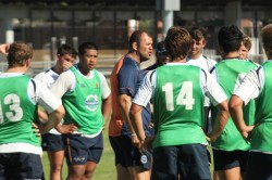 Michael Cheika and NSW Colts hopefuls