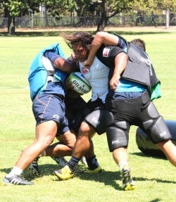 Tatafu sandwich