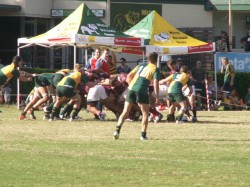 UQ's scrum