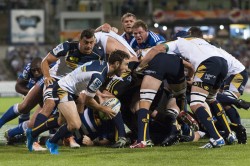 Brumbies v Stormers_0066_2014_03_22_10901