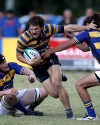 Dargaville busts a tackle for Sydney Uni