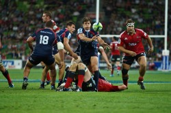 Luke Burgess