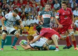 Reds vs Cheetahs 2014 SSM_7194