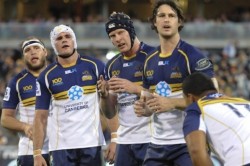 Brumbies lineout