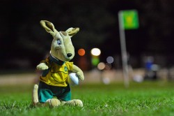 I wish I was the Socceroos mascot.