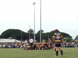 RugbySA16