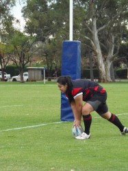 RugbySA20