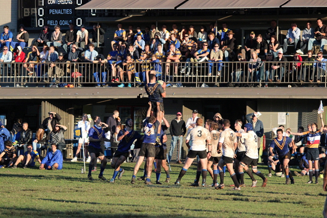 8 Zac Cardassilaris wins ball in front of Waverley lineout             https://www.facebook.com/waverleysport 