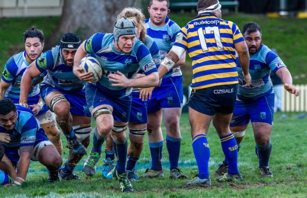 Parramatta captain flanker Andrew Cox leads a forward charge_photo by Debbie O'Connor