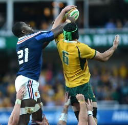 Wallabies lineout