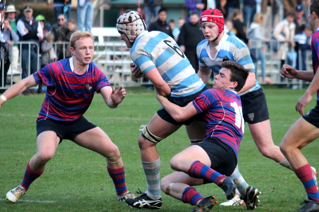 NSW GPS Round 9 - Shock result - Page 3 of 3 - Green and Gold Rugby