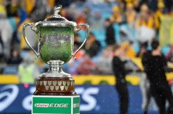 Bledisloe Cup looking nice