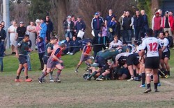 Melbourne forwards pushing near the try line