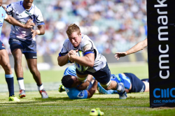 Cottrell scores for the Force in Sydney