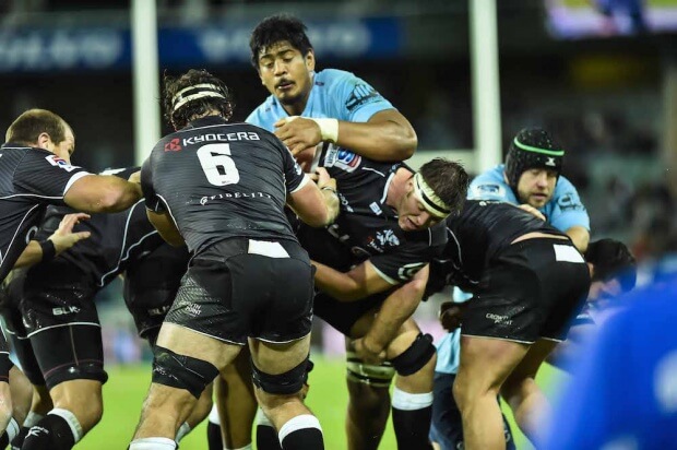 will skelton vs sharks