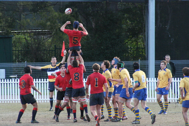 Barker lineout