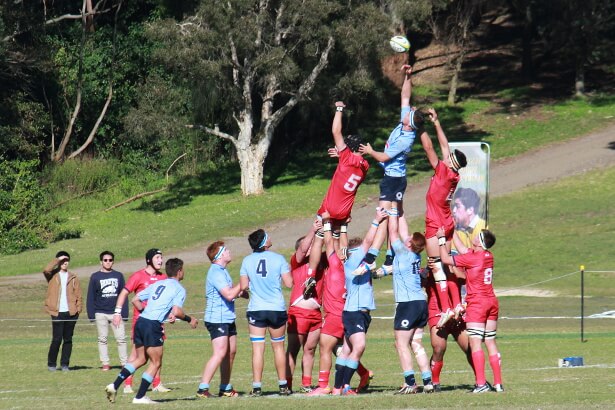 Tall timber in lineout