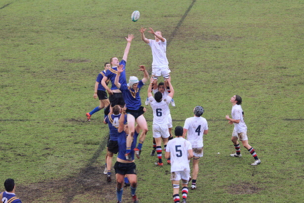 Waverley lineout woes